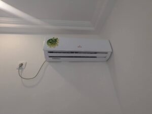 whatsapp image 2026 02 17 at 17.04.03